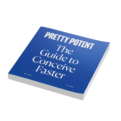 The Guide To Conceive Faster e-Book